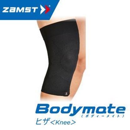 圖片 Bodymate膝(Knee)